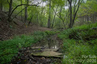 1619 Ellis Belk Road, Monroe, NC 28112 - Photo 37
