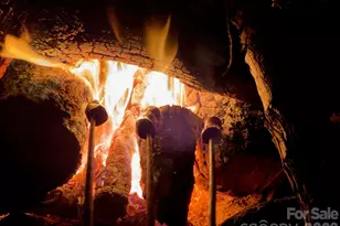 1619 Ellis Belk Rd, Monroe, NC 28112 - Photo 39