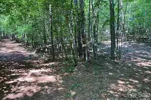 1619 Ellis Belk Rd, Monroe, NC 28112 - Photo 41