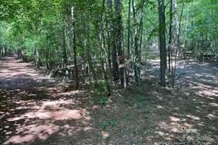 1619 Ellis Belk Rd, Monroe, NC 28112 - Photo 41