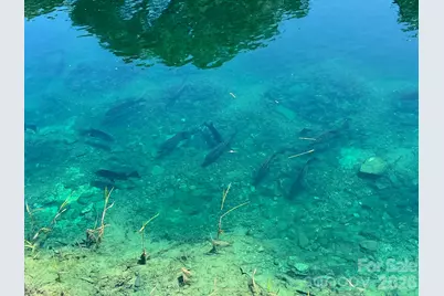 1619 Ellis Belk Road, Monroe, NC 28112 - Photo 45