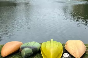 1619 Ellis Belk Rd, Monroe, NC 28112 - Photo 43