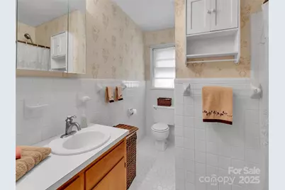 250 Reeves Cove Road, Candler, NC 28715 - Photo 15