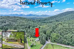 250 Reeves Cove Rd, Candler, NC 28715 - Photo 45