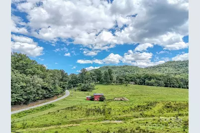 250 Reeves Cove Road, Candler, NC 28715 - Photo 43