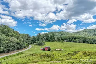 250 Reeves Cove Rd, Candler, NC 28715 - Photo 43