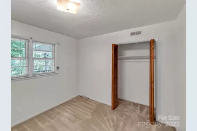 250 Reeves Cove Road, Candler, NC 28715 - Photo 21