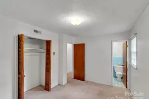 250 Reeves Cove Rd, Candler, NC 28715 - Photo 17