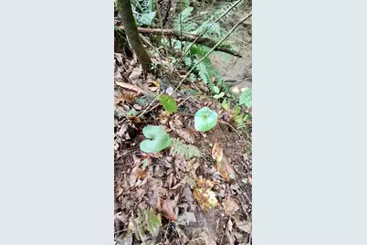 0 Cross Creek Circle, Sylva, NC 28779 - Photo 5