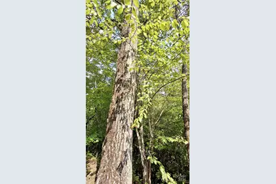 0 Cross Creek Circle, Sylva, NC 28779 - Photo 13