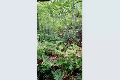 0 Cross Creek Circle, Sylva, NC 28779 - Photo 9