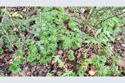 0 Cross Creek Circle, Sylva, NC 28779 - Photo 11