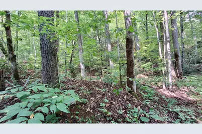 0 Cross Creek Circle, Sylva, NC 28779 - Photo 25