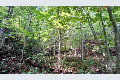 0 Cross Creek Circle, Sylva, NC 28779 - Photo 27