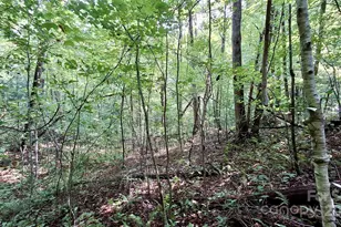 0 Cross Creek Cir, Sylva, NC 28779 - Photo 1