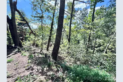 270 S Jarvis Drive, Hendersonville, NC 28792 - Photo 17