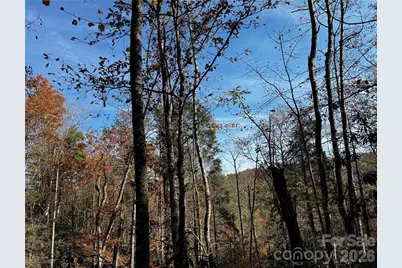 270 S Jarvis Drive, Hendersonville, NC 28792 - Photo 3