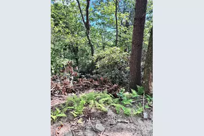 270 S Jarvis Drive, Hendersonville, NC 28792 - Photo 13