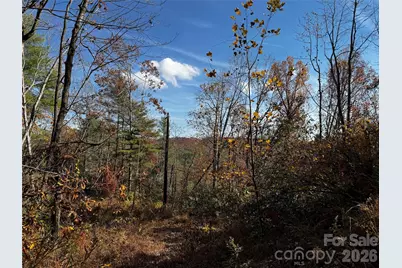 270 S Jarvis Drive, Hendersonville, NC 28792 - Photo 29