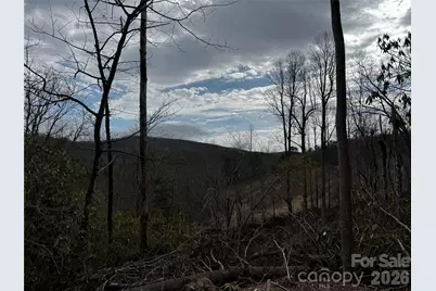 270 S Jarvis Drive, Hendersonville, NC 28792 - Photo 35