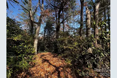 270 S Jarvis Drive, Hendersonville, NC 28792 - Photo 23