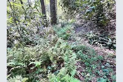 270 S Jarvis Drive, Hendersonville, NC 28792 - Photo 19