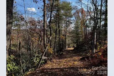 270 S Jarvis Drive, Hendersonville, NC 28792 - Photo 5