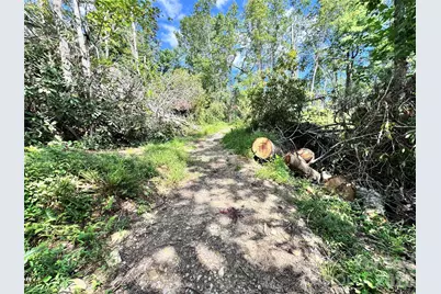 270 S Jarvis Drive, Hendersonville, NC 28792 - Photo 11