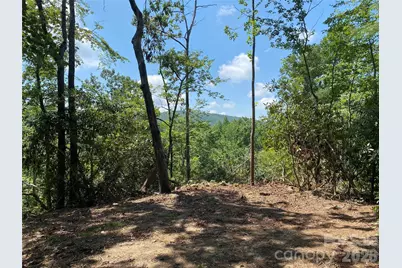 270 S Jarvis Drive, Hendersonville, NC 28792 - Photo 9