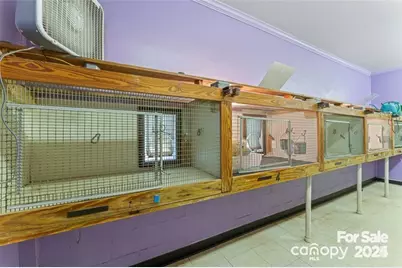 10560 Lake Royalle Road, Spring Hope, NC 27882 - Photo 19