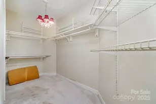 15133 Torrence Branch Rd, Charlotte, NC 28278 - Photo 19