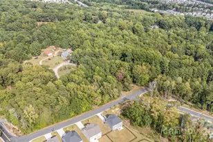 15133 Torrence Branch Rd, Charlotte, NC 28278 - Photo 35