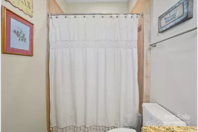 546 Abelia Lane, Fort Mill, SC 29708 - Photo 29