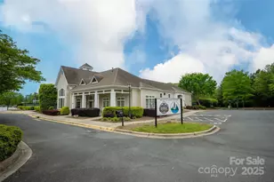 1096 Palmyra Dr, Fort Mill, SC 29708 - Photo 41