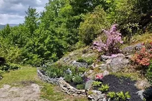 612 Old Home Pl Rd, Tuckasegee, NC 28783 - Photo 39