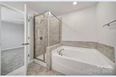 1541 Spring Blossom Trail, Fort Mill, SC 29708 - Photo 37