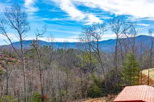 459 Vaughan Rd, Spruce Pine, NC 28777 - Photo 5