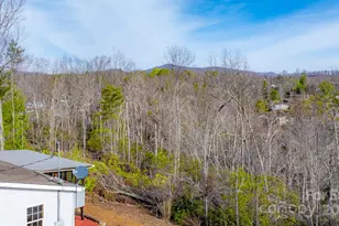 459 Vaughan Rd, Spruce Pine, NC 28777 - Photo 7