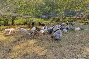 250 Circus Trail, Forest City, NC 28043 - Photo 25