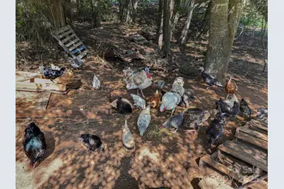 250 Circus Trail, Forest City, NC 28043 - Photo 27