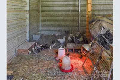 250 Circus Trail, Forest City, NC 28043 - Photo 31