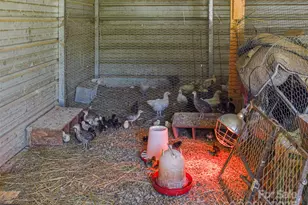 250 Circus Trail, Forest City, NC 28043 - Photo 31