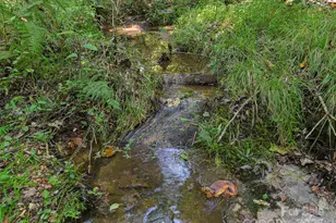 250 Circus Trail, Forest City, NC 28043 - Photo 39