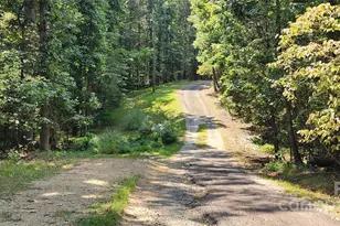 1115 John Short Rd, Indian Land, SC 29707 - Photo 33