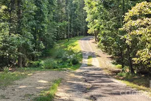 1115 John Short Rd, Indian Land, SC 29707 - Photo 33