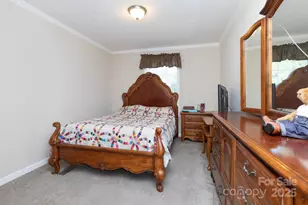 324 Lytle Cove Rd, Swannanoa, NC 28778 - Photo 19