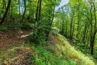 38 Imperial Court, Waynesville, NC 28785 - Photo 7