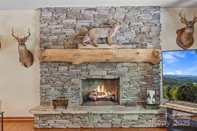 658 Johnson Road, Brevard, NC 28712 - Photo 15