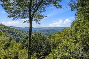 658 Johnson Rd, Brevard, NC 28712 - Photo 13