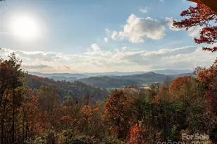 658 Johnson Rd, Brevard, NC 28712 - Photo 47